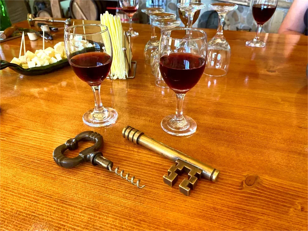 travel program image