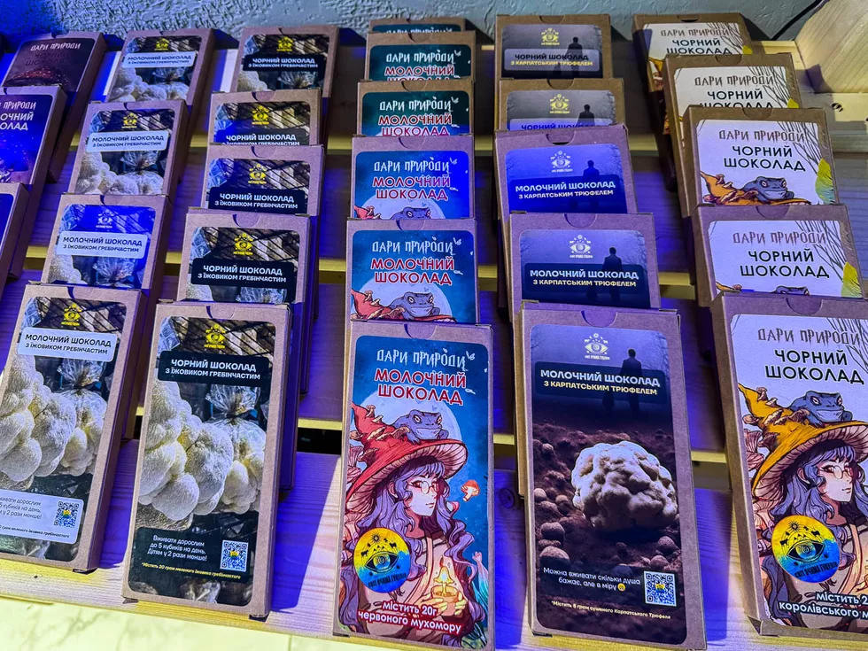 travel program image