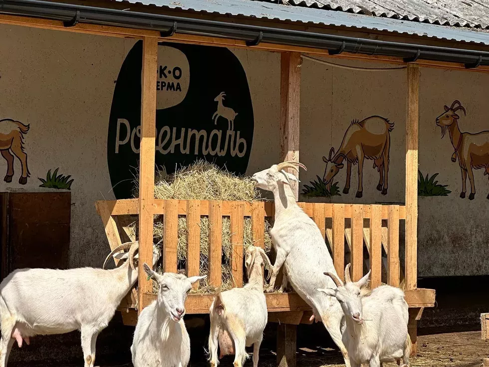 travel program image