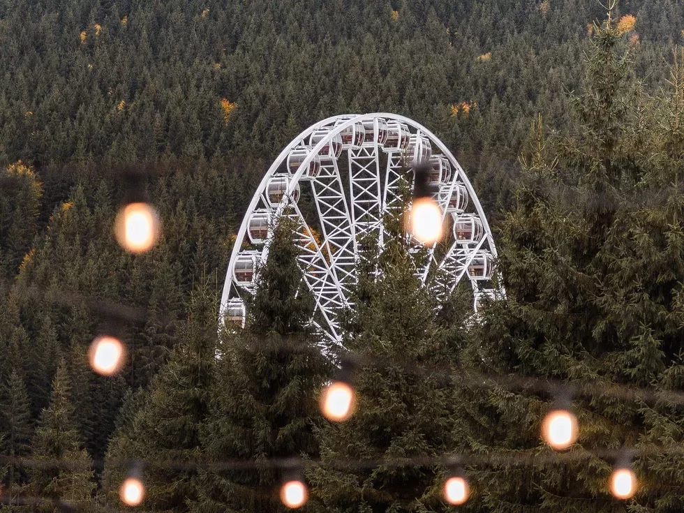 travel program image