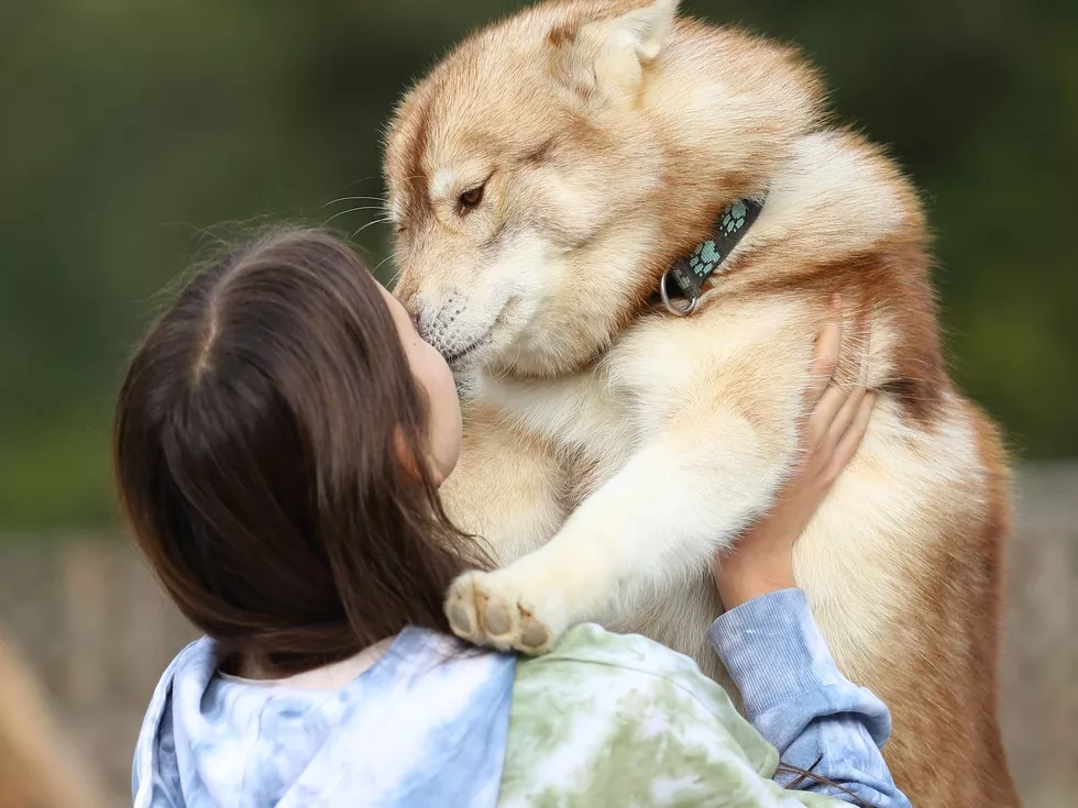 travel program image