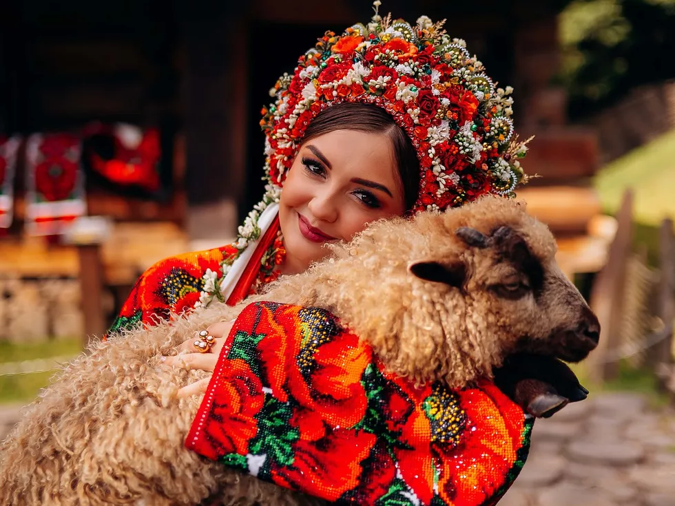 travel program image