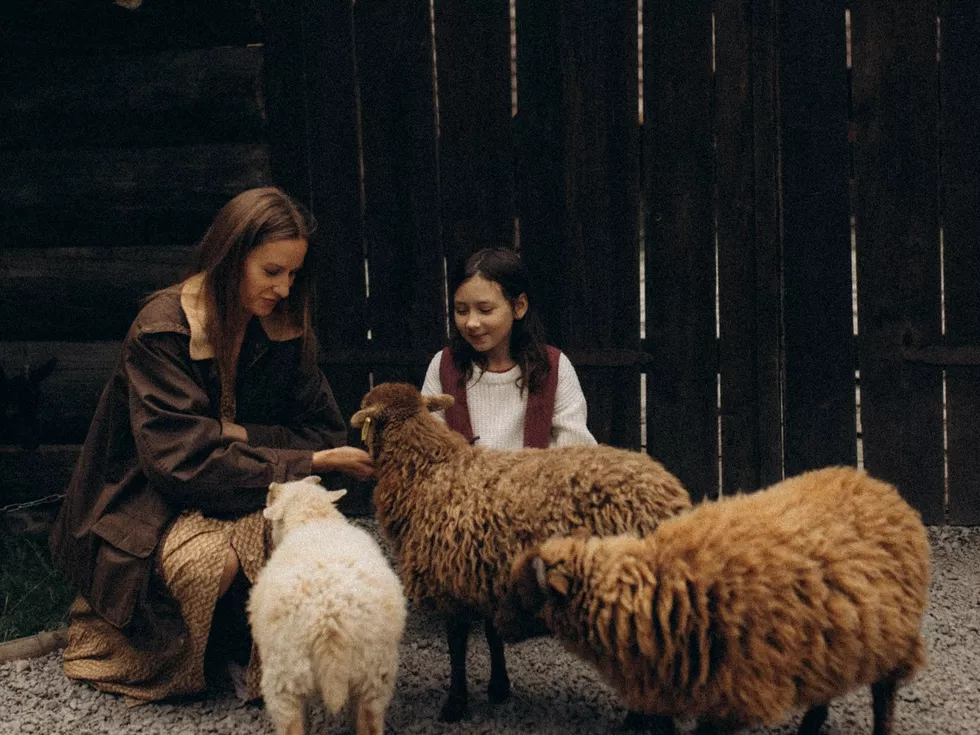 travel program image