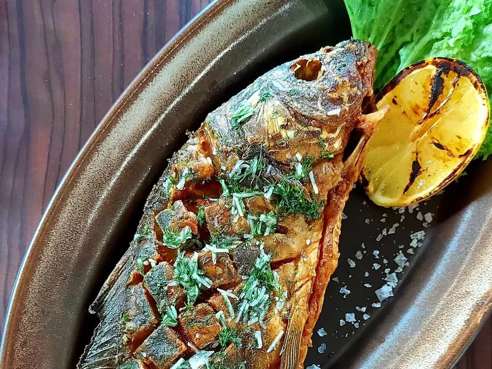 travel program image