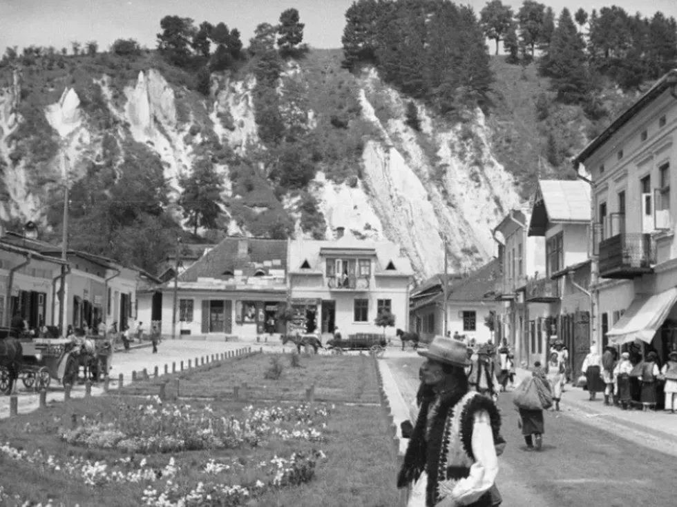 travel program image