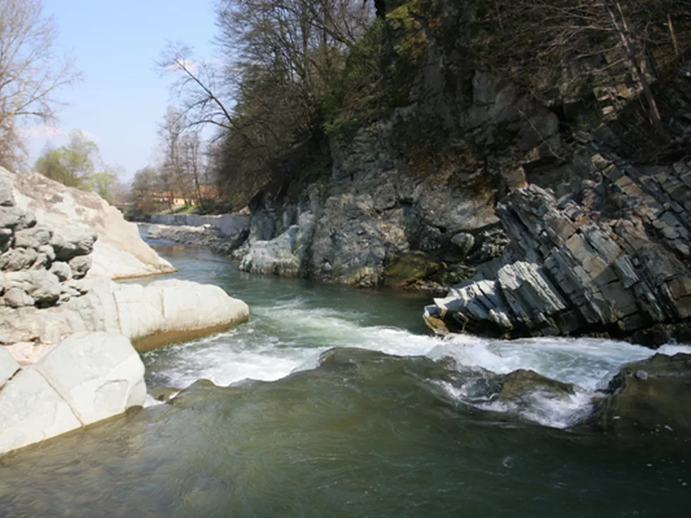 travel program image