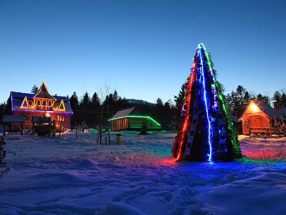 travel program image