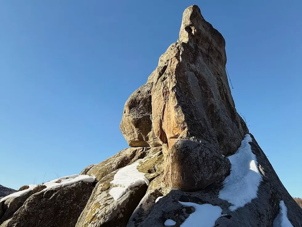 travel program image