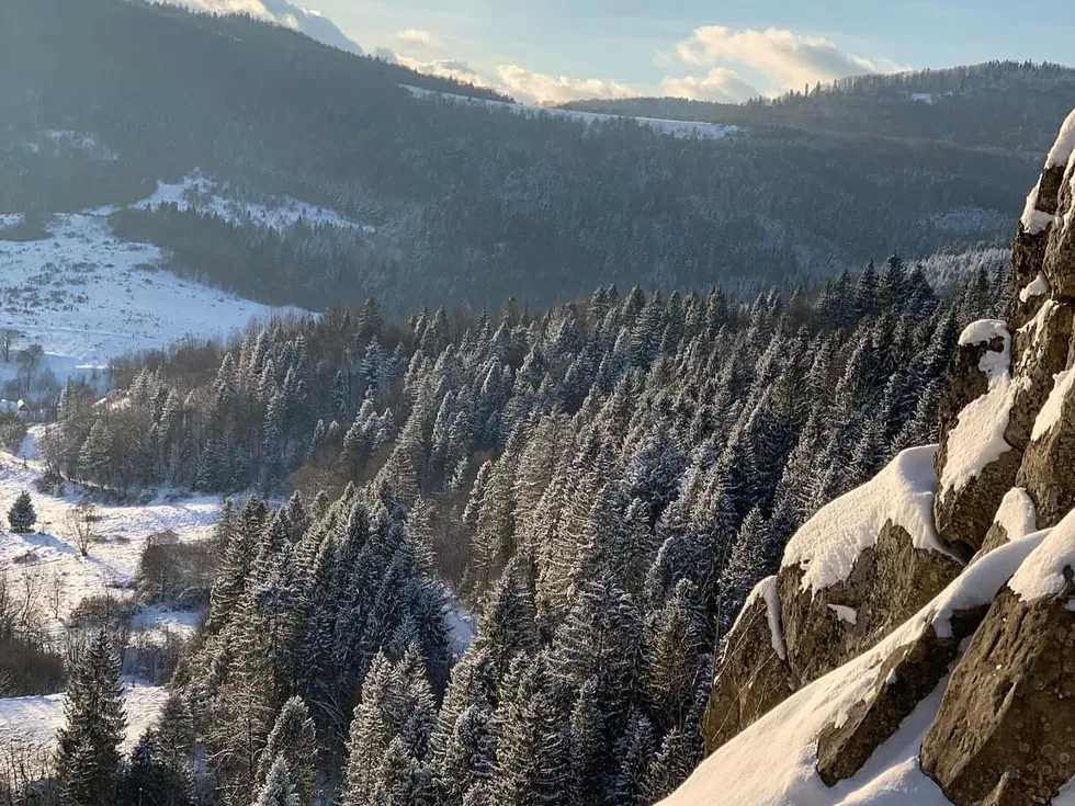 travel program image