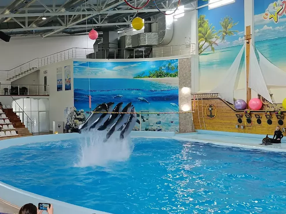 travel program image