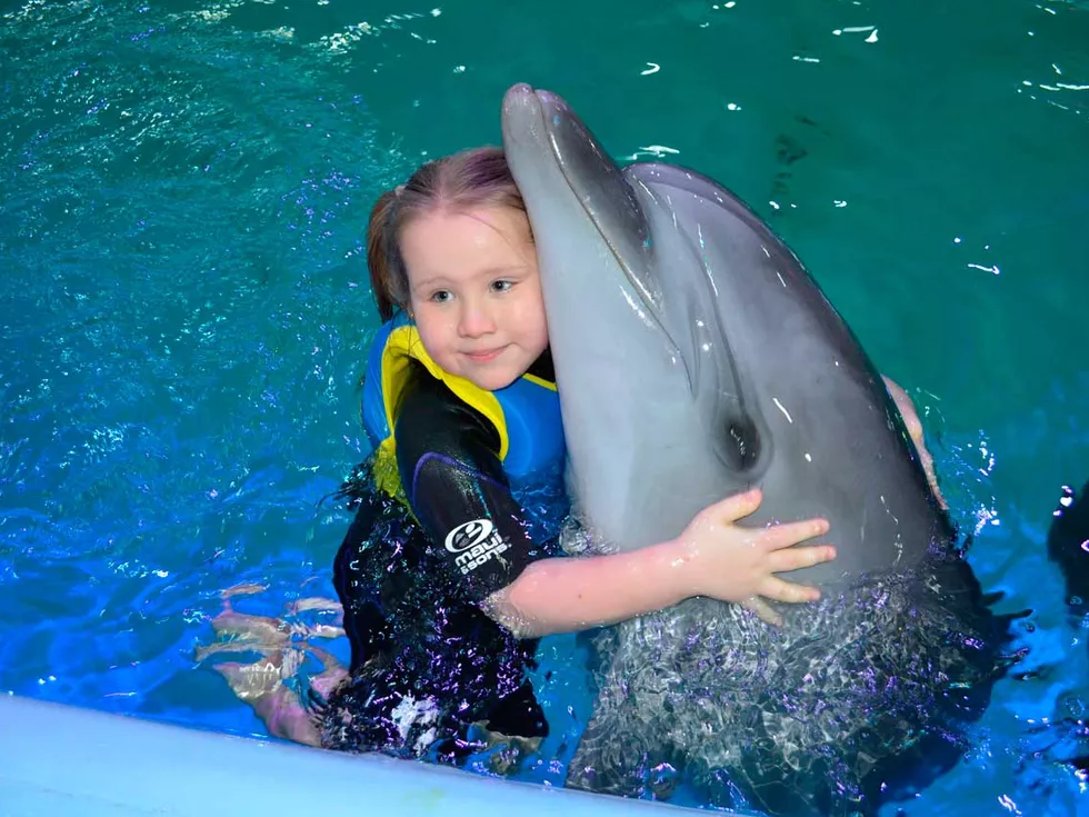 travel program image