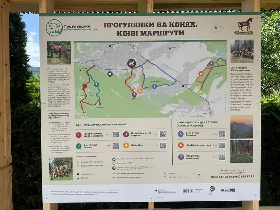 travel program image