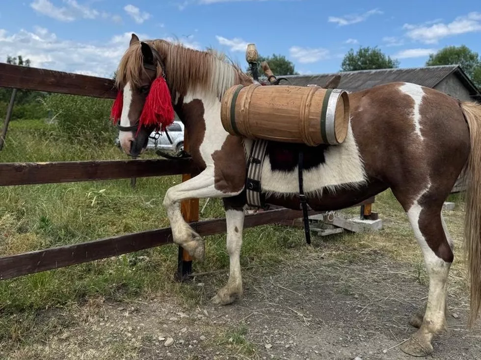 travel program image