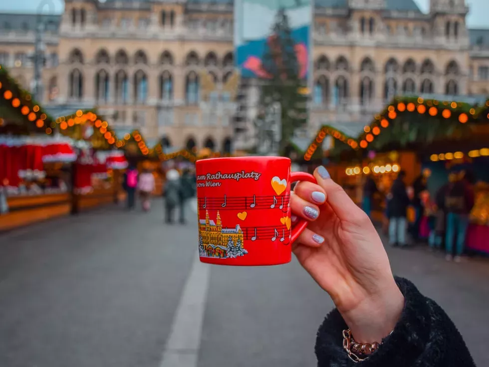 travel program image