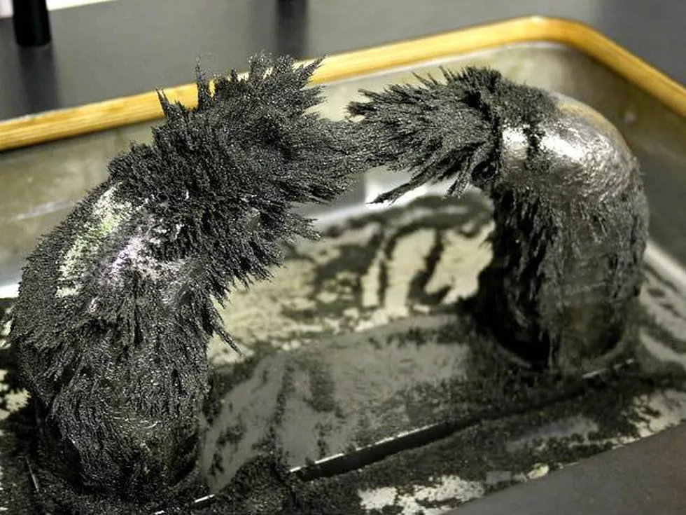 travel program image