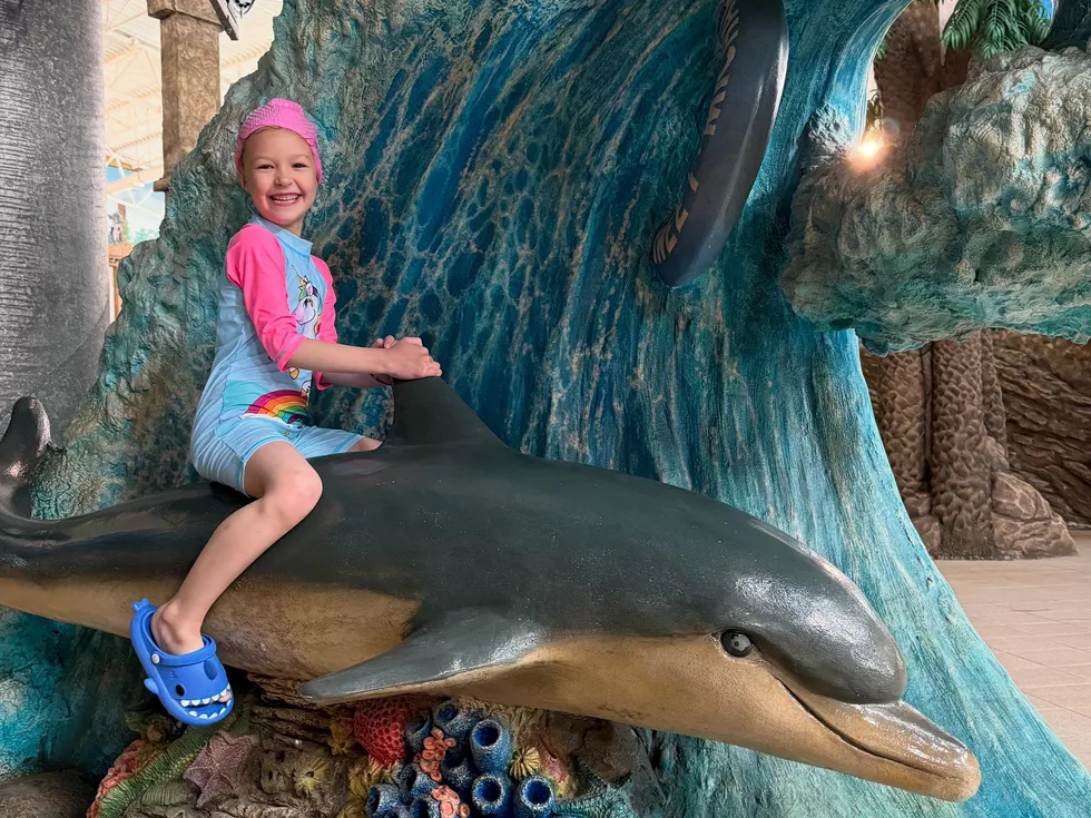 travel program image