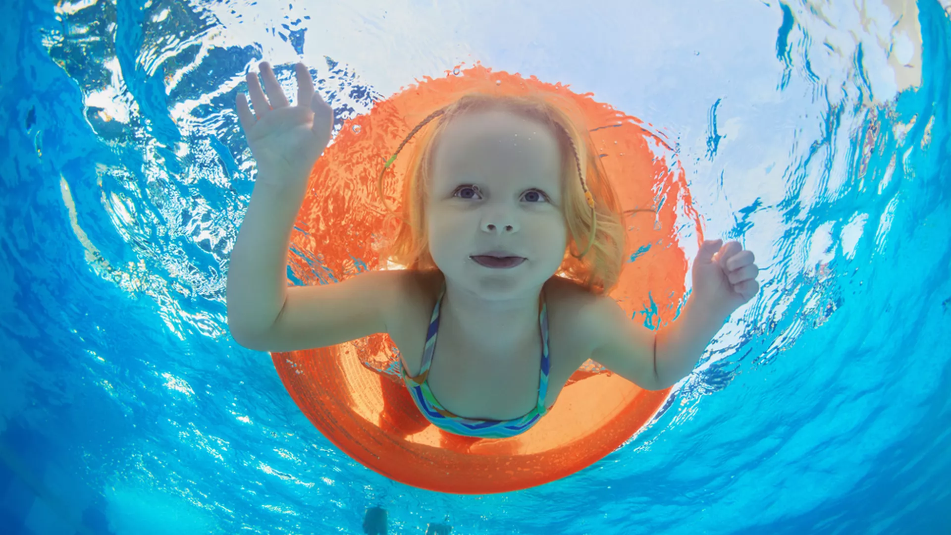 trip inroduction image