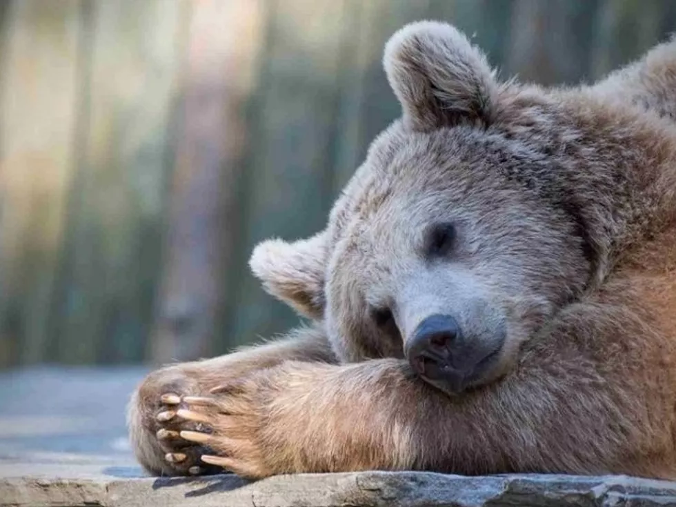 travel program image