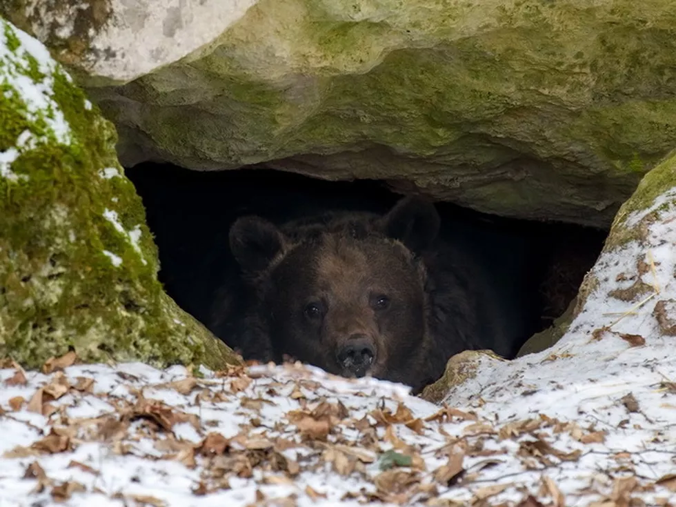 travel program image