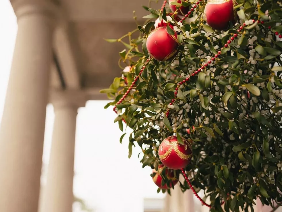 travel program image