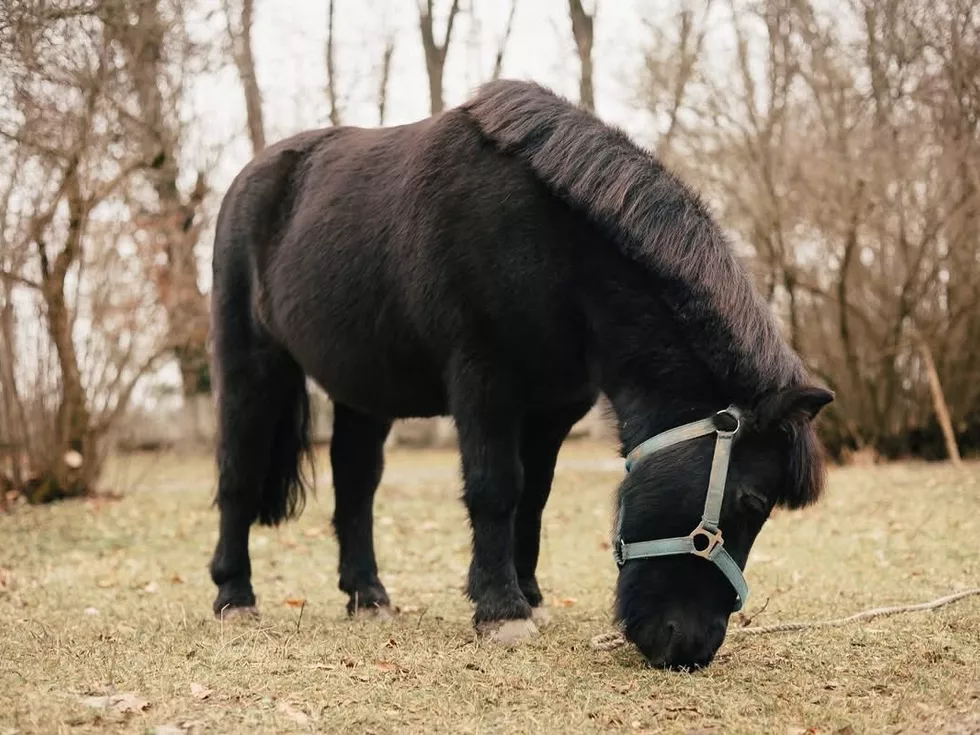 travel program image