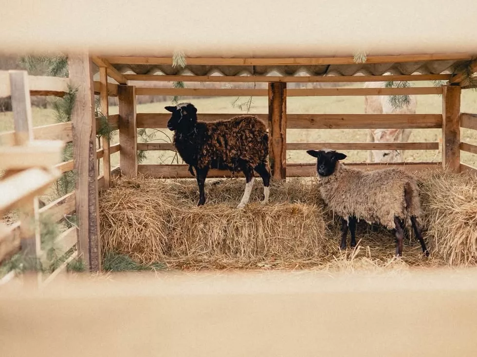 travel program image