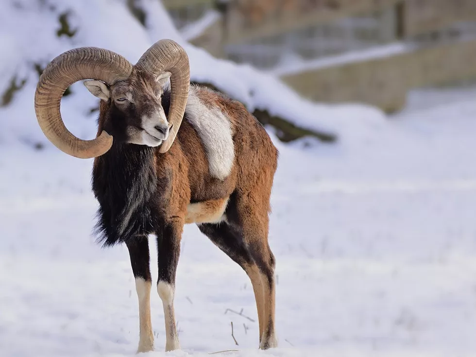 travel program image