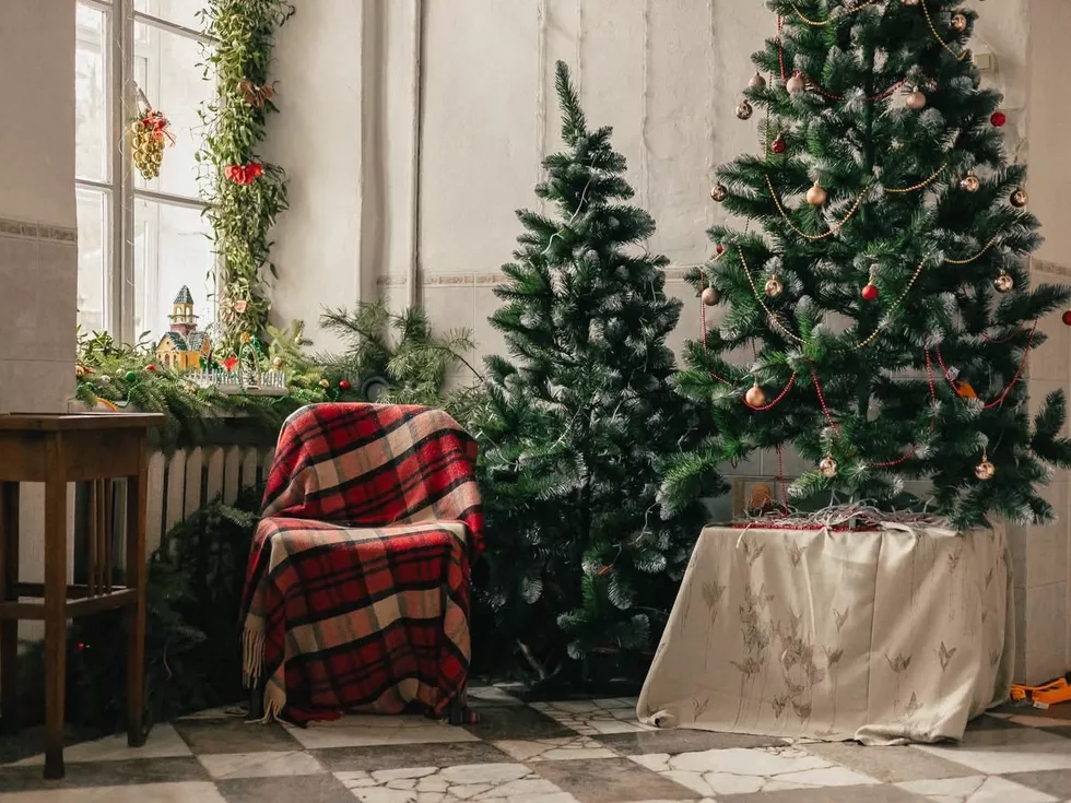 travel program image