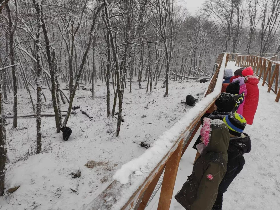 travel program image