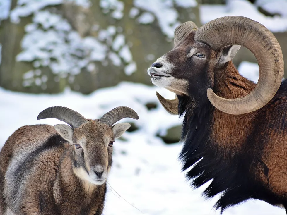 travel program image