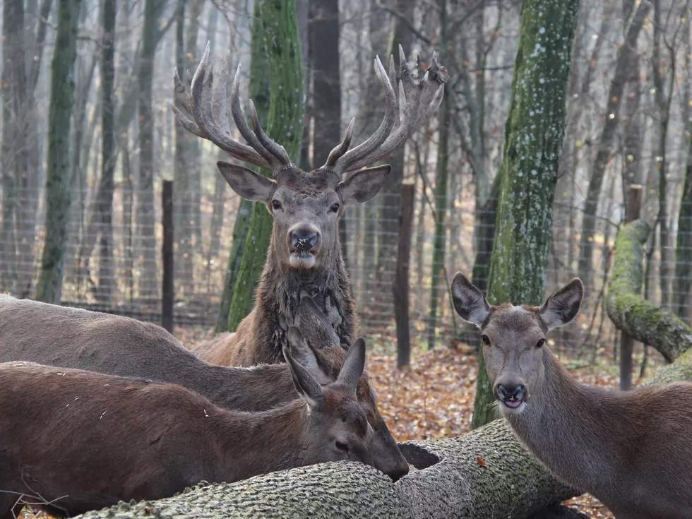 travel program image