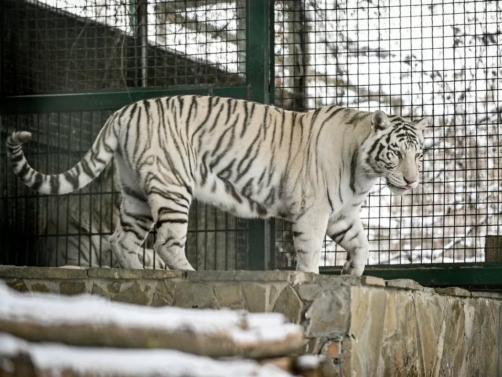 travel program image