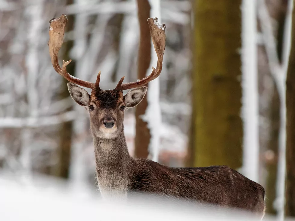 travel program image