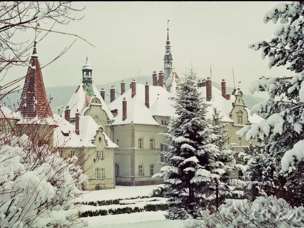 travel program image