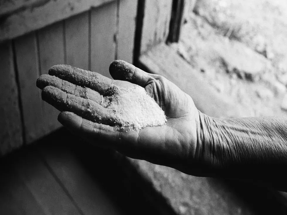 travel program image