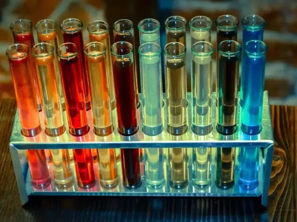 travel program image