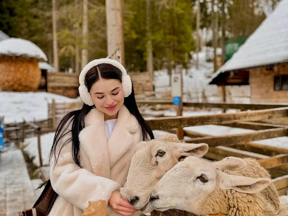 travel program image