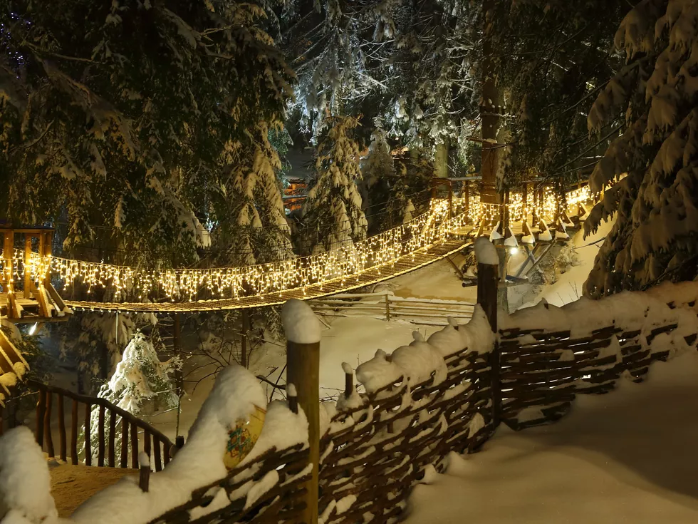 travel program image