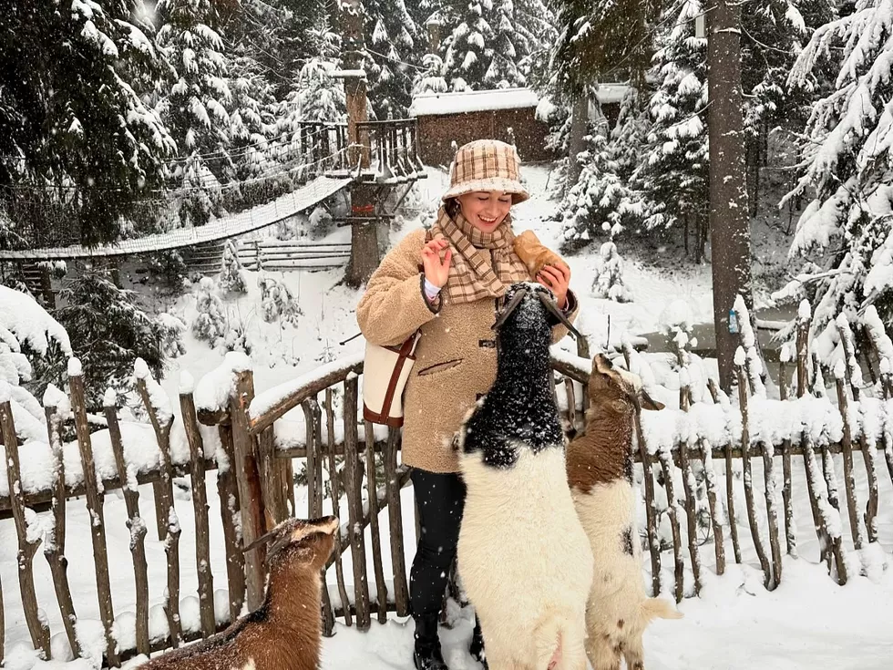 travel program image