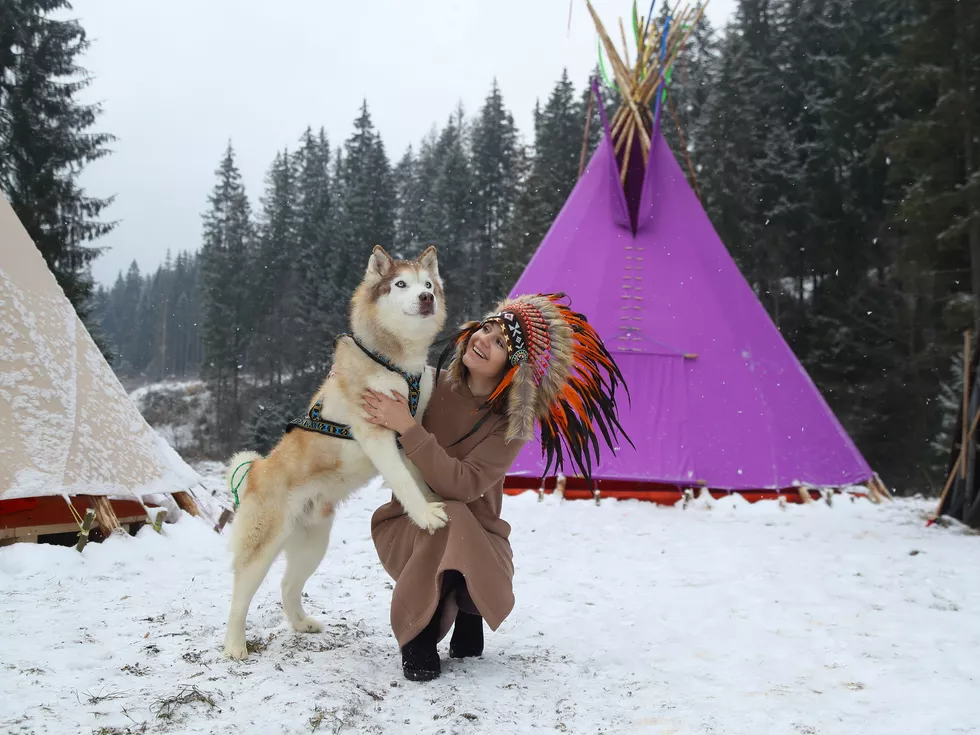 travel program image