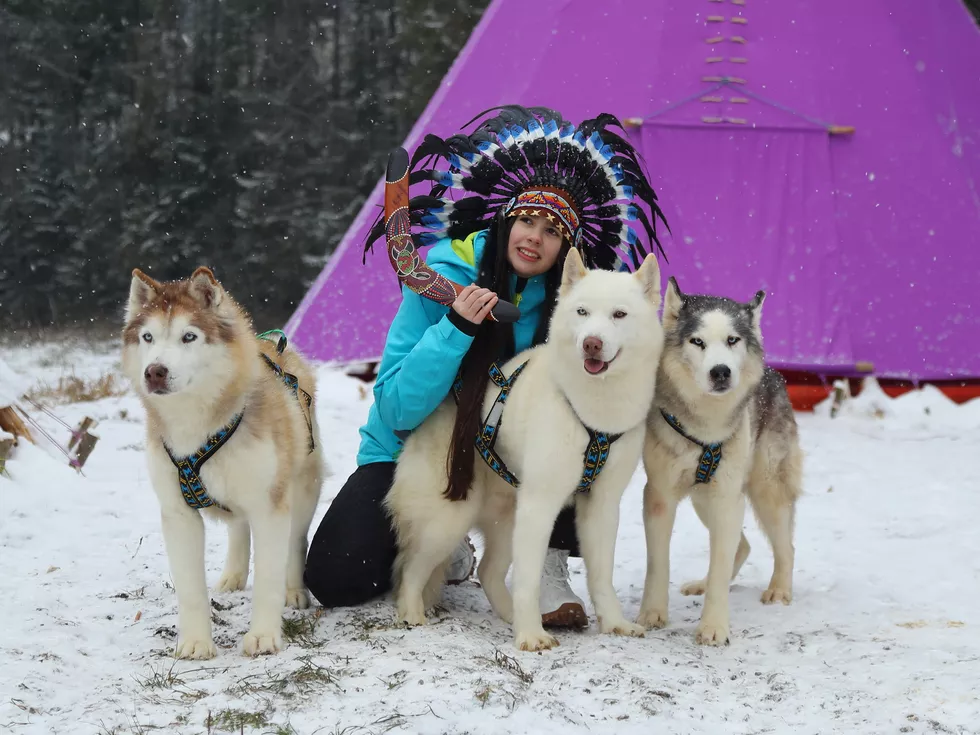 travel program image