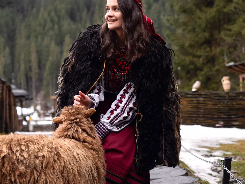 travel program image