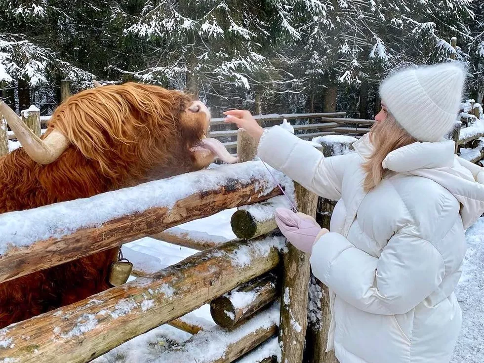 travel program image