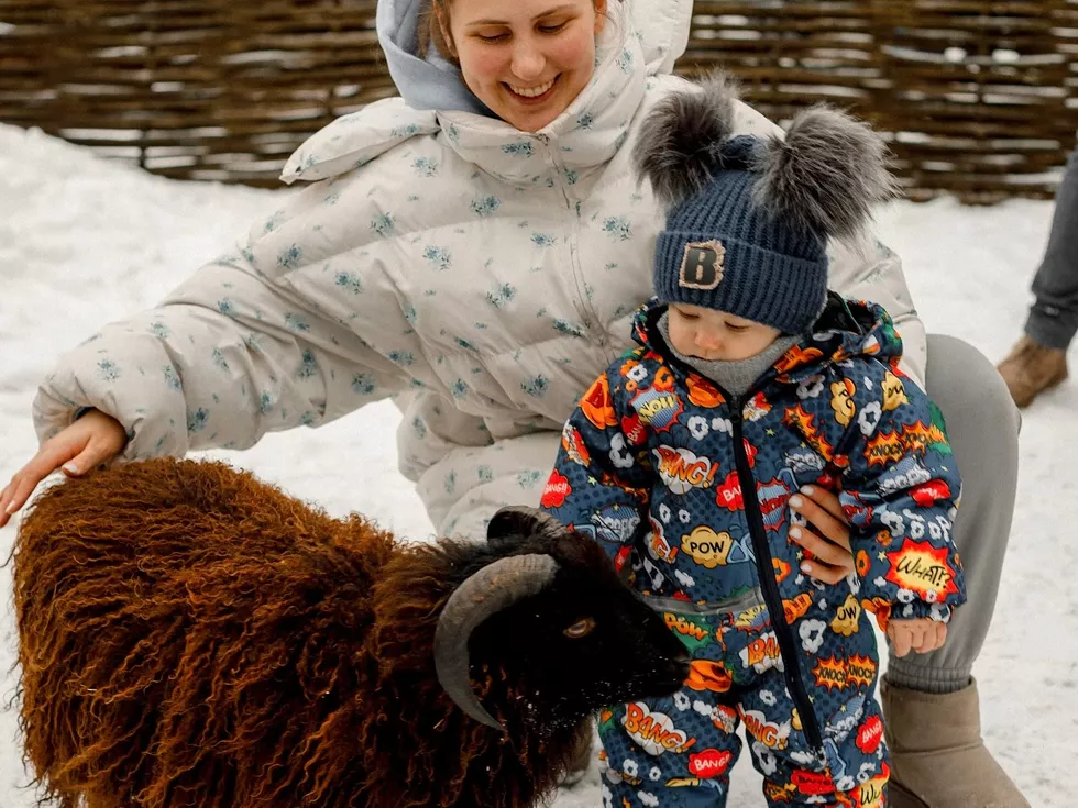 travel program image