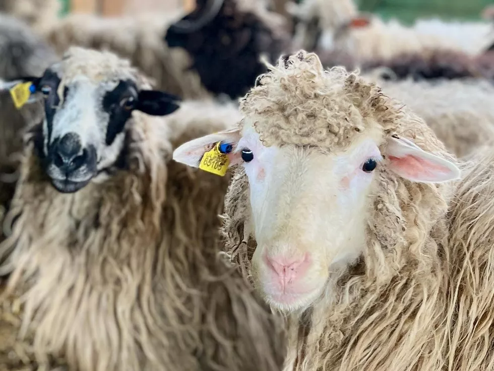 travel program image