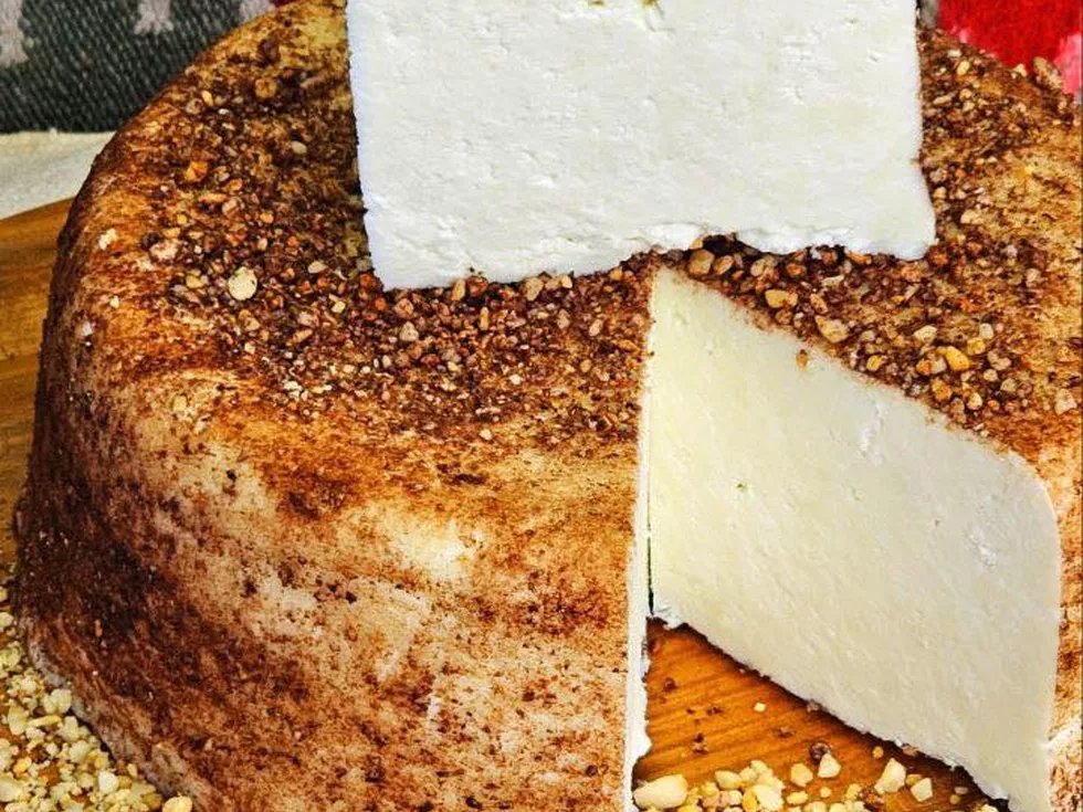 travel program image