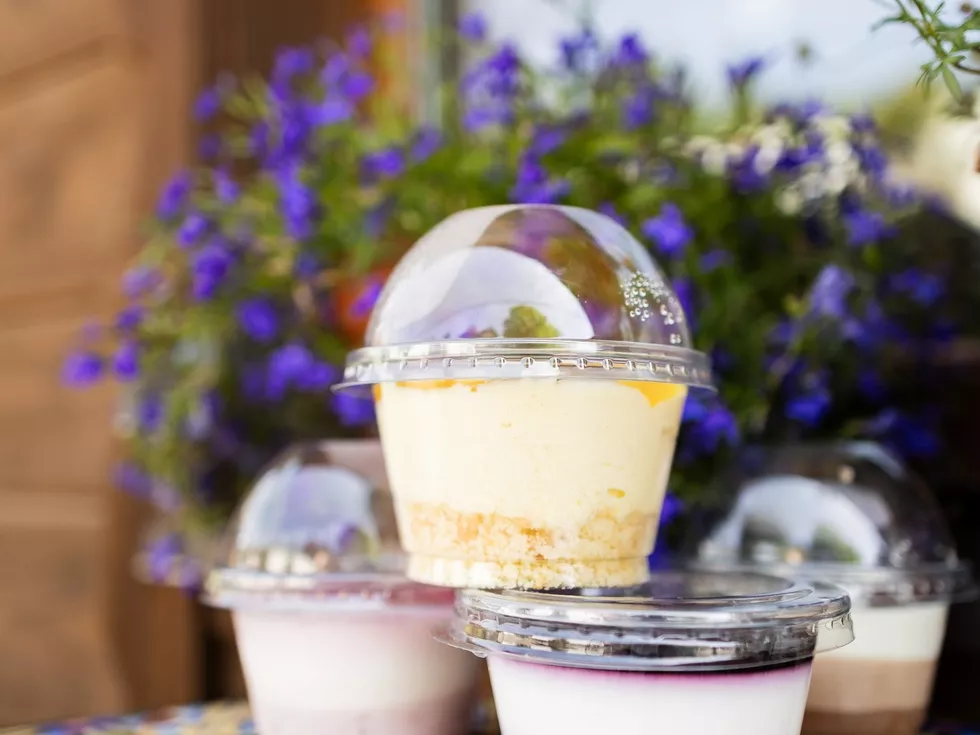 travel program image