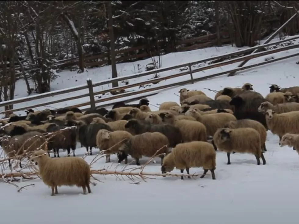 travel program image