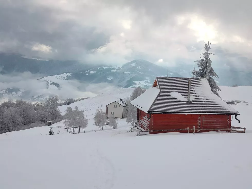 travel program image