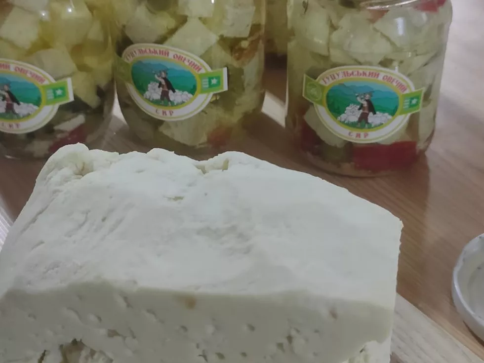 travel program image